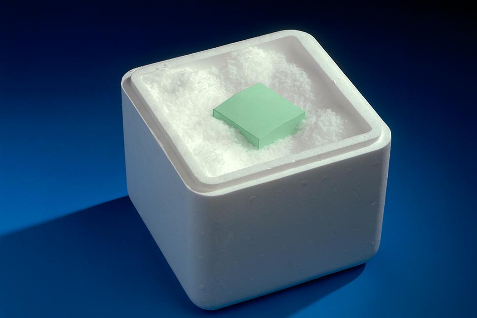 Insulated box of dry ice for transport