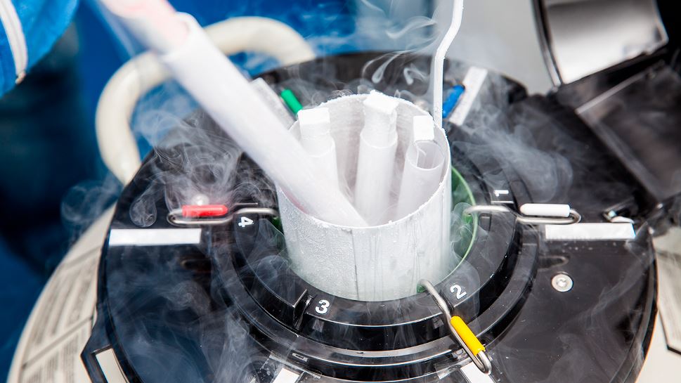 Liquid nitrogen cryogenic tank at laboratory